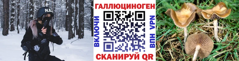 Псилоцибиновые грибы прущие грибы  где купить   Кингисепп 