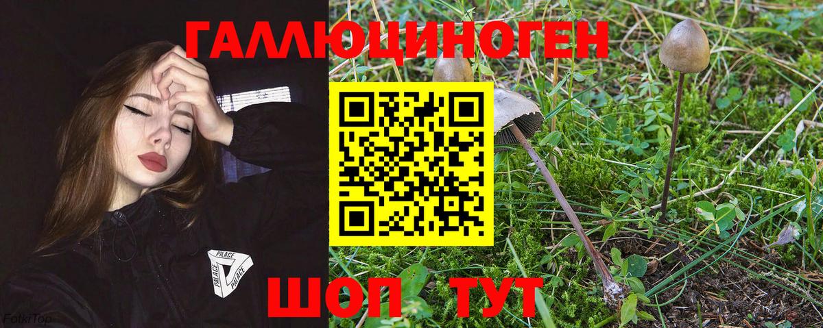 МДМА  Кингисепп  Вход с VPN  Конопля  МЕФ   COCAIN 