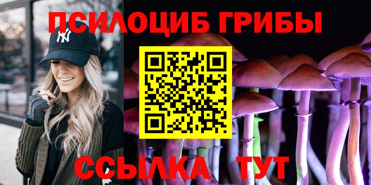 Галлюциногенные грибы Psilocybe Кингисепп