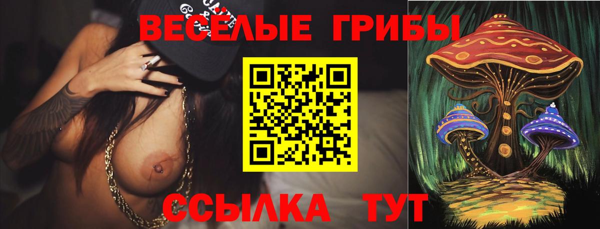 A PVP Кингисепп