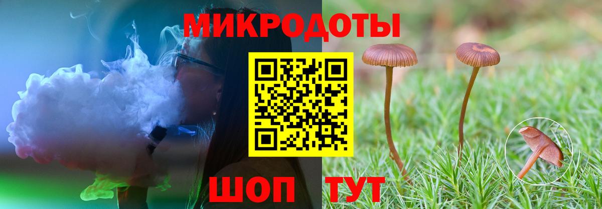Кингисепп  Псилоцибиновые грибы Magic Shrooms  Вход с VPN 